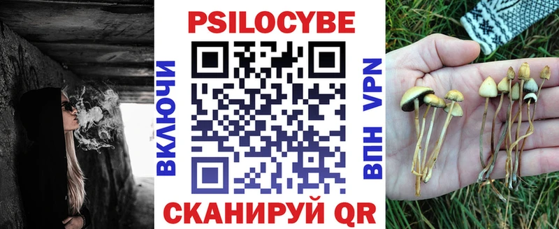 Галлюциногенные грибы GOLDEN TEACHER Алейск