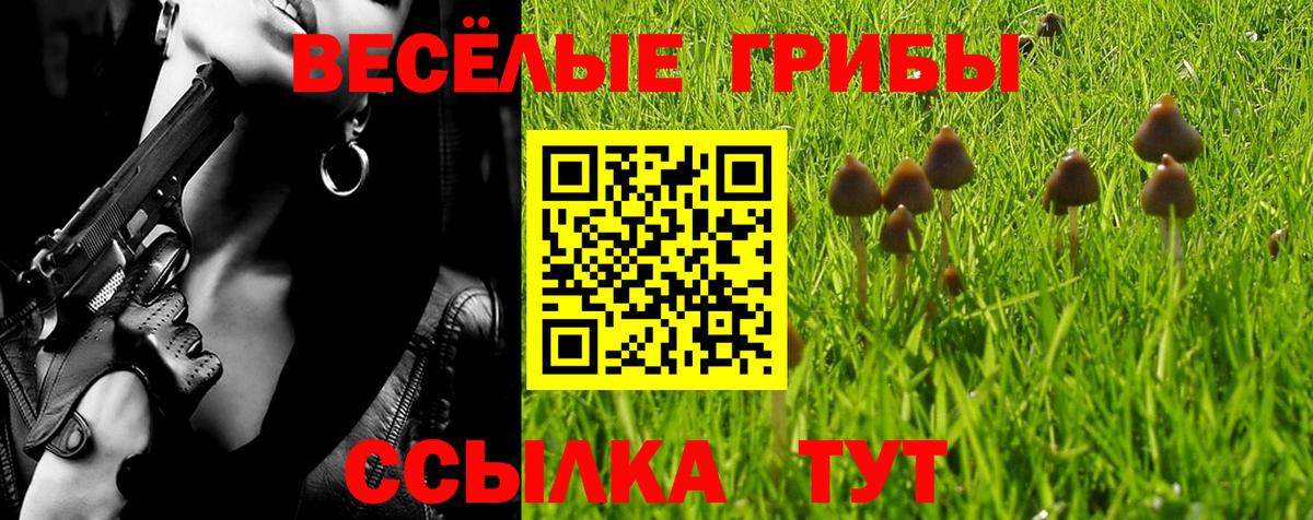Алейск  где купить наркоту  Вход с VPN  Галлюциногенные грибы Magic Shrooms 