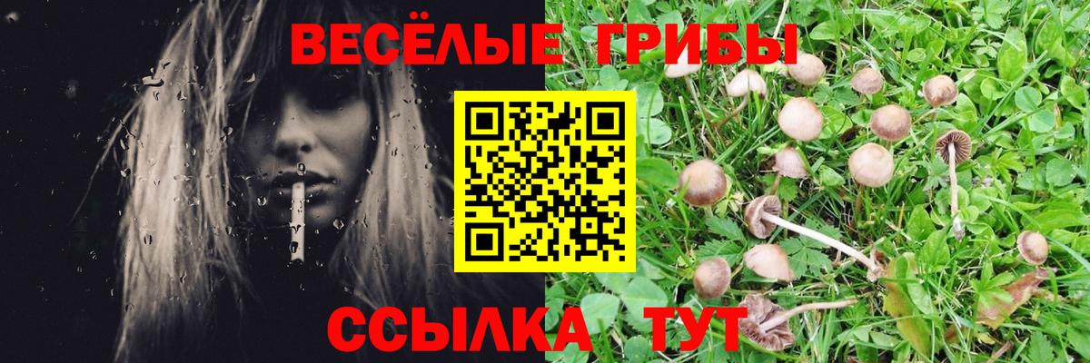 Галлюциногенные грибы Cubensis Алейск